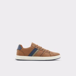 Baskets Aldo Citywalk Low Top - Cup Sole Marron | MZEYNP-302