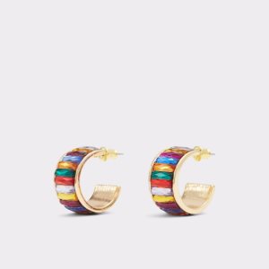 Boucle d'oreille Aldo Jessiewey Hoop Multicolore Clair | KHLMBZ-425