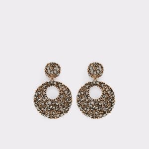 Boucle d'oreille Aldo Mapleridge Metal Multicolore | EWFRXO-587