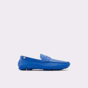 Chaussures Casual Aldo Kohn Driving Bleu | UPEGXW-708