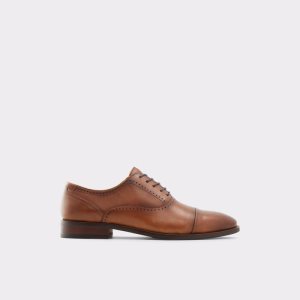 Chaussures Richelieu Aldo Abawienflex Marron | TKAEWY-301