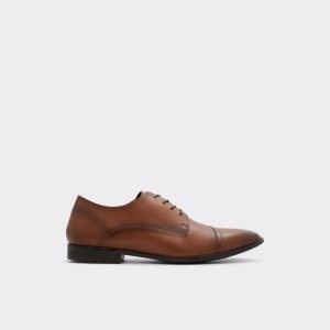 Chaussures Richelieu Aldo Cadigok Marron | CKXMRN-283