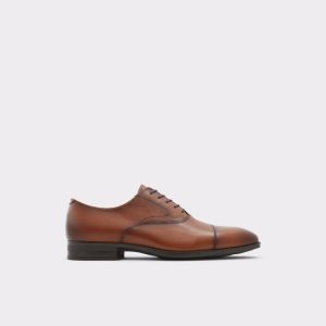 Chaussures Richelieu Aldo Miraylle Marron | QHMWNU-465