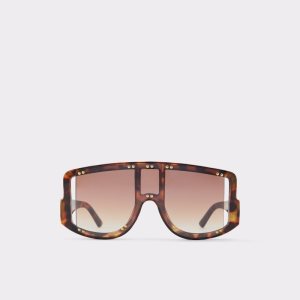 Lunettes de Soleil Aldo Javabriclya Shield Marron | PVRWOC-506