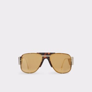 Lunettes de Soleil Aldo Qei Aviator Marron | YFINOS-281