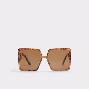 Lunettes de Soleil Aldo Ybaledia Square Marron | BORPES-587