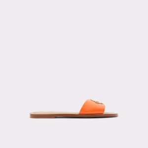 Sandales Aldo Glaeswen Claquette Sandal Orange | SGOUIQ-024