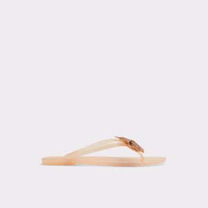 Sandales Aldo Kahala Plates Sandal Beige | BITDSU-428