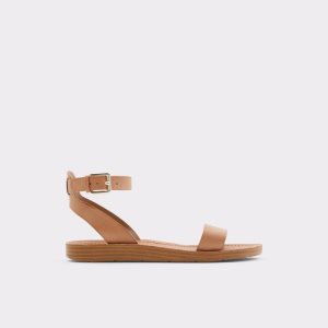 Sandales Aldo Kedaredia Plates Sandal Marron | FWMKBA-958