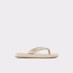 Sandales Aldo Polo Flip Flops Multicolore | RXBJIT-758