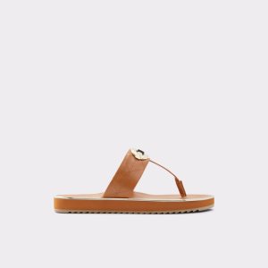 Sandales Aldo Searene Flip Flop Marron | AFMNIG-409