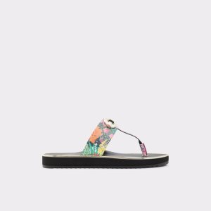 Sandales Aldo Searene Flip Flop - Wedge Multicolore | ENIVZS-168