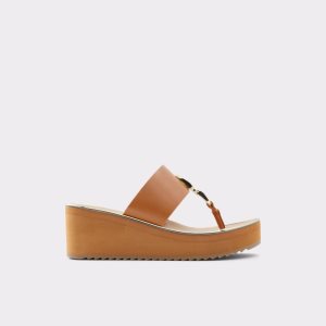 Sandales Aldo Toea Lanières Sandal - Wedge Marron | QRMBEG-069