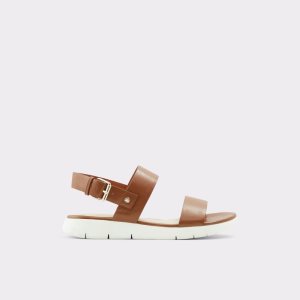 Sandales Aldo Woema Plates Sandal Marron | KOTSXA-853