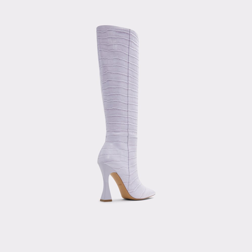 Bottes Hautes Aldo Vonteese Knee-high Violette | VEFBPZ-471