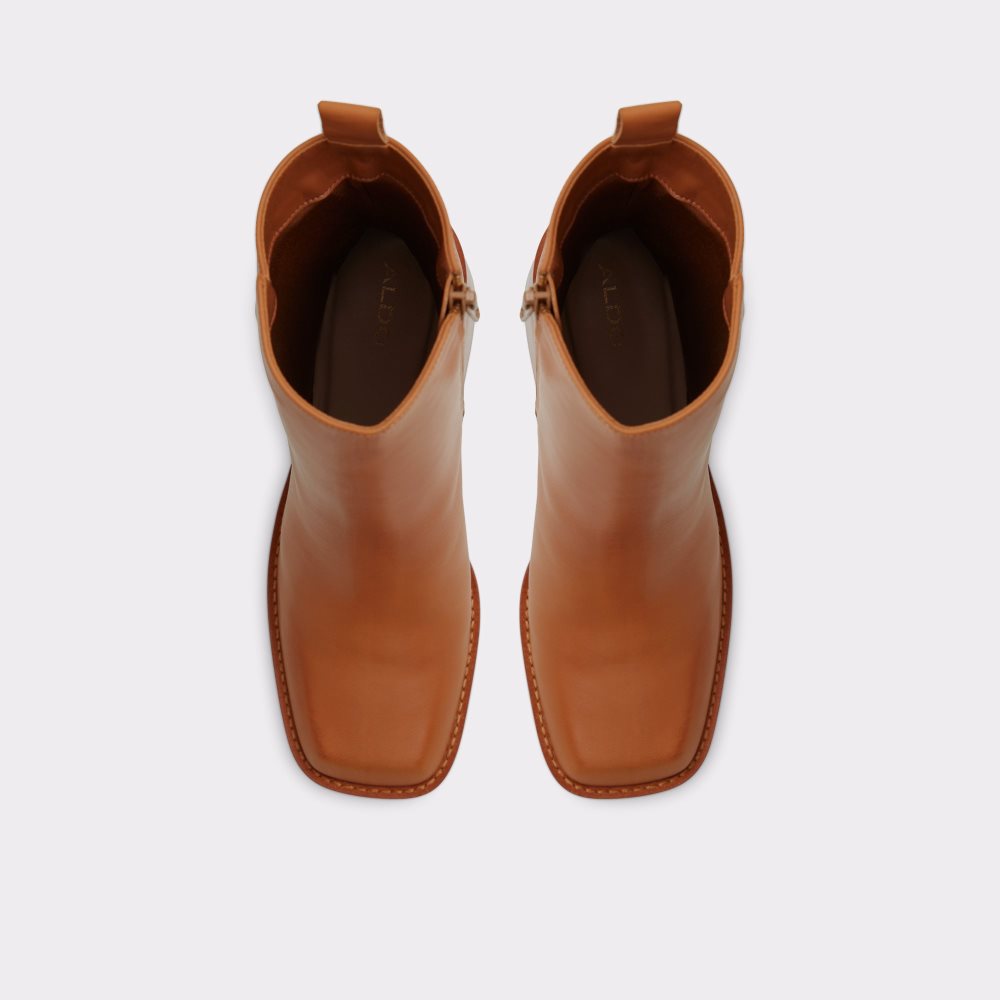 Bottines Aldo Benrubin Marron | VNIGQA-507