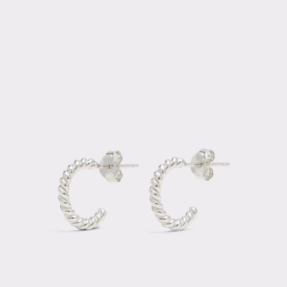 Boucle d\'oreille Aldo Adraeldar Hoop Argent | URYDHS-130