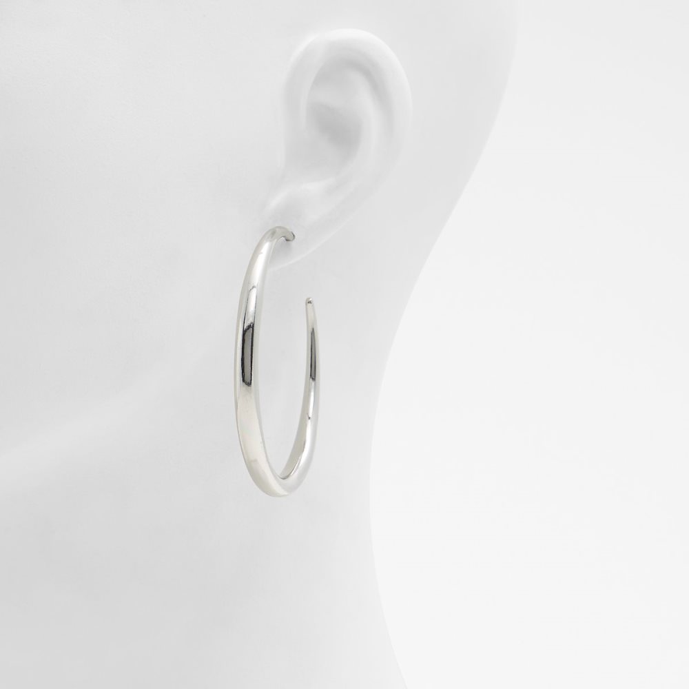 Boucle d'oreille Aldo Veinante Hoop Argent | GSTXPM-457