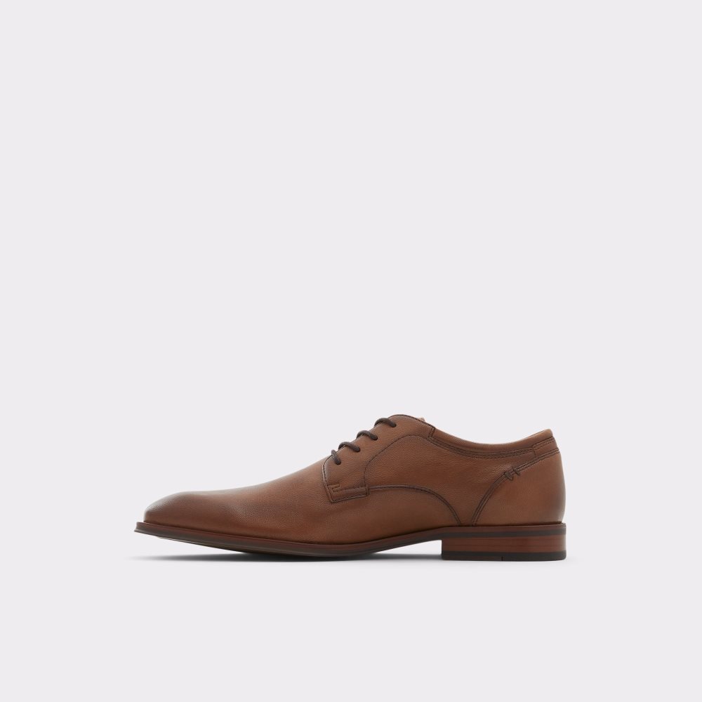 Chaussures Richelieu Aldo Zirakor-w Marron | LJSZTK-015