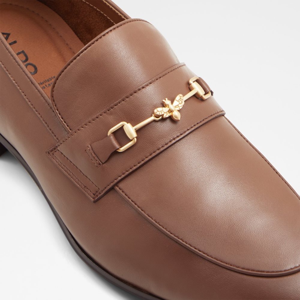 Loafers Aldo Harrow Marron | HFOEMG-958