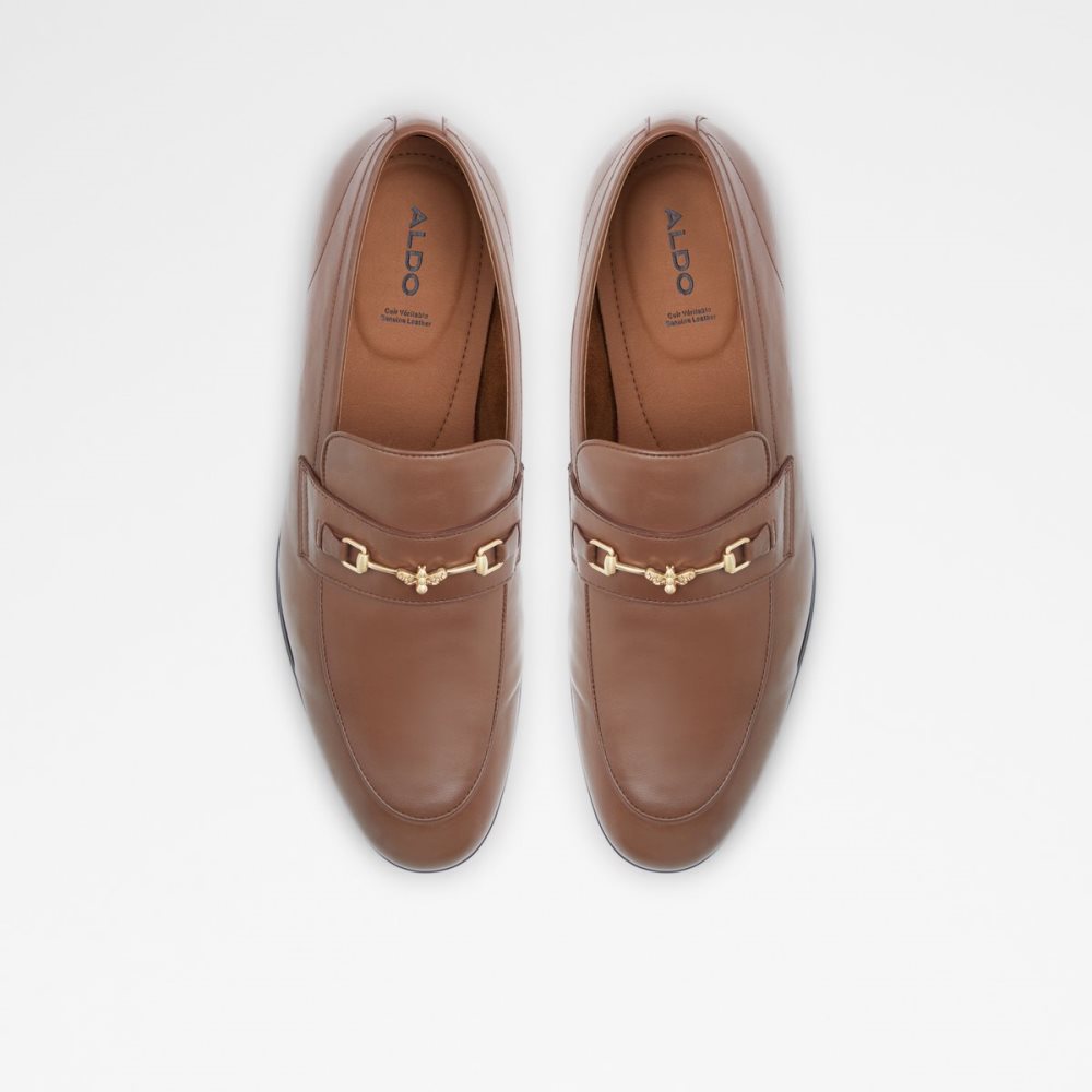 Loafers Aldo Harrow Marron | HFOEMG-958