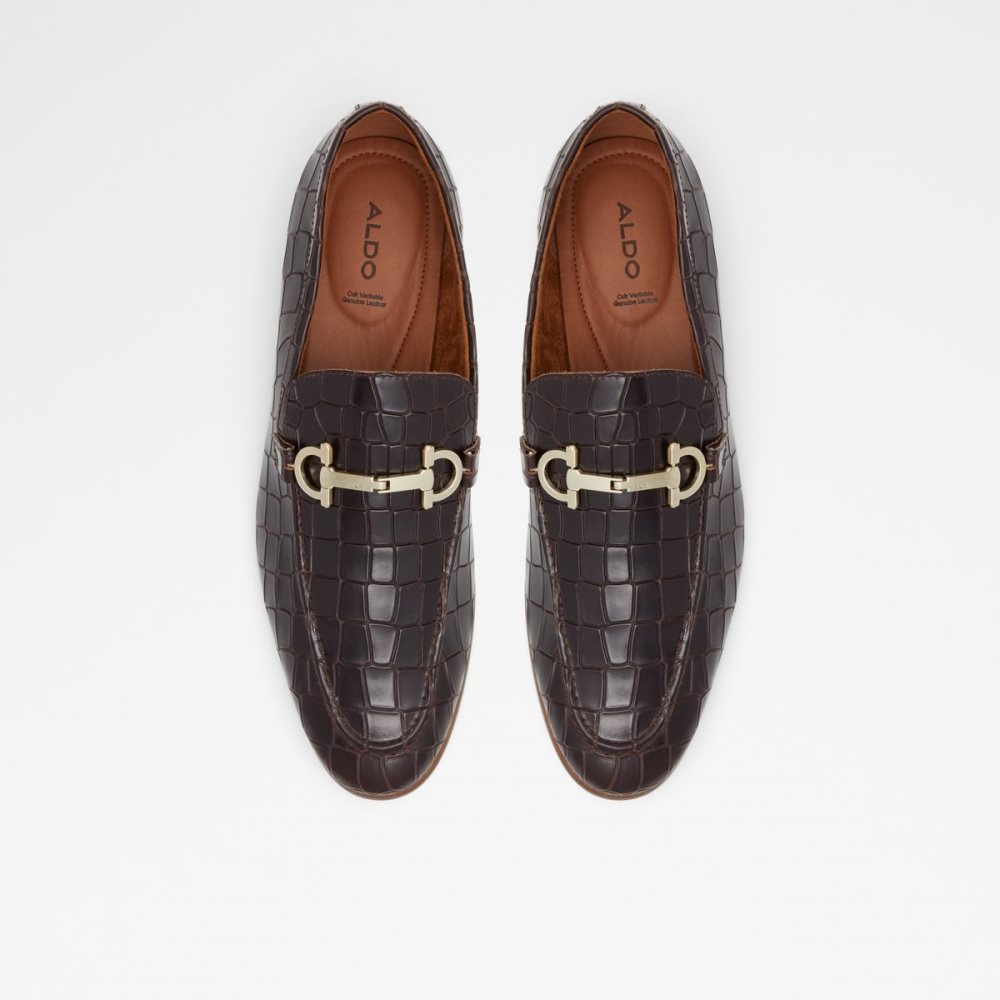 Loafers Aldo Olathienflex Marron Foncé | XFZDYH-149