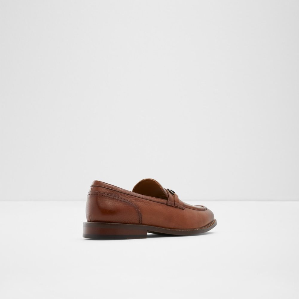 Loafers Aldo Schergerflex Marron | IQUXPK-462