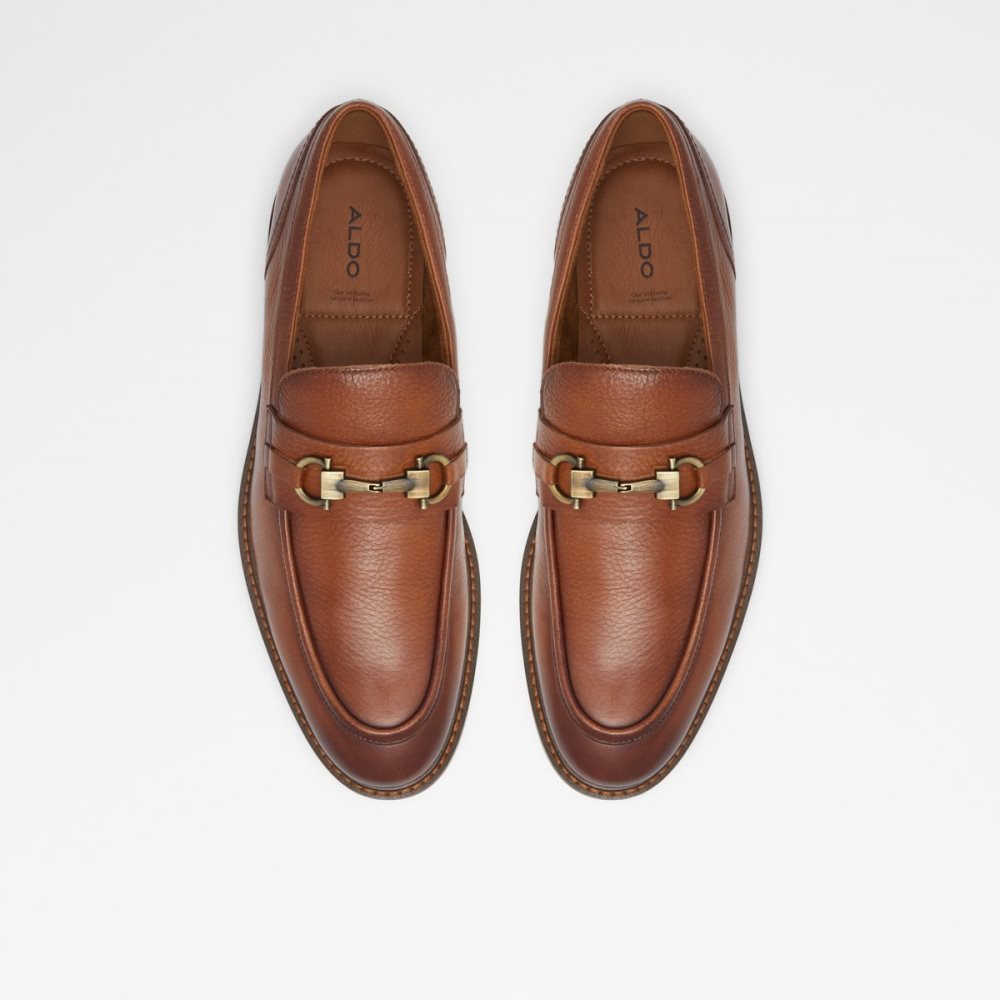 Loafers Aldo Schergerflex Marron | IQUXPK-462