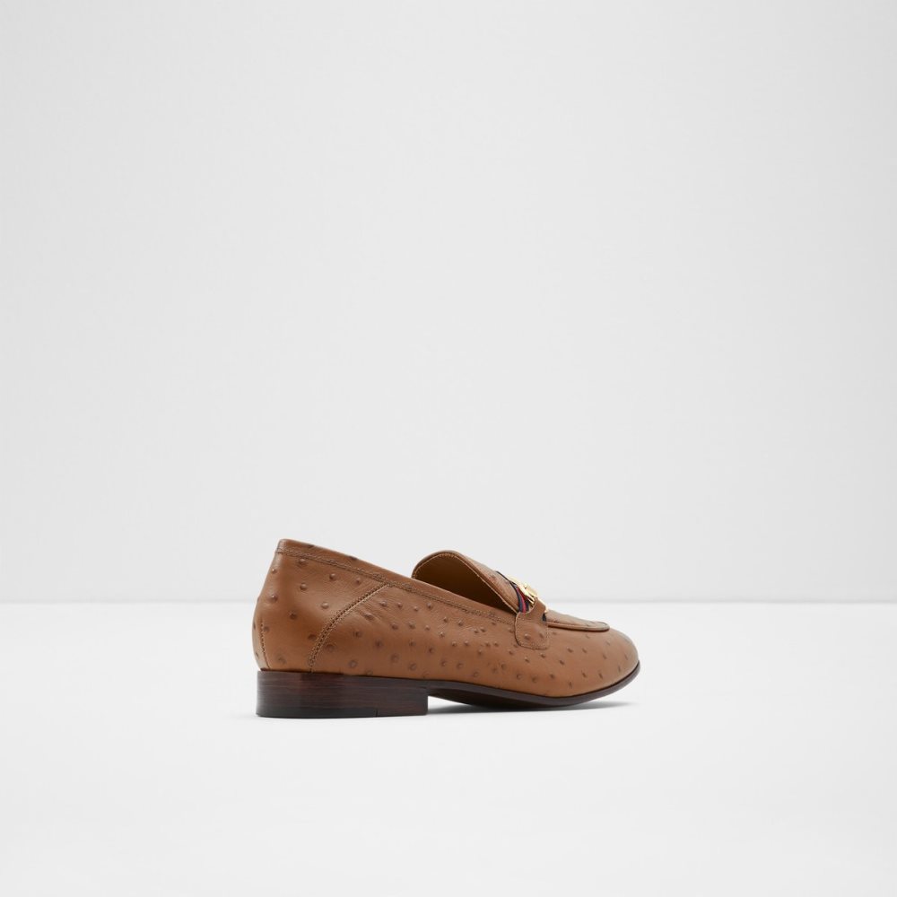 Loafers Aldo Trywen Marron | FTXGHJ-150