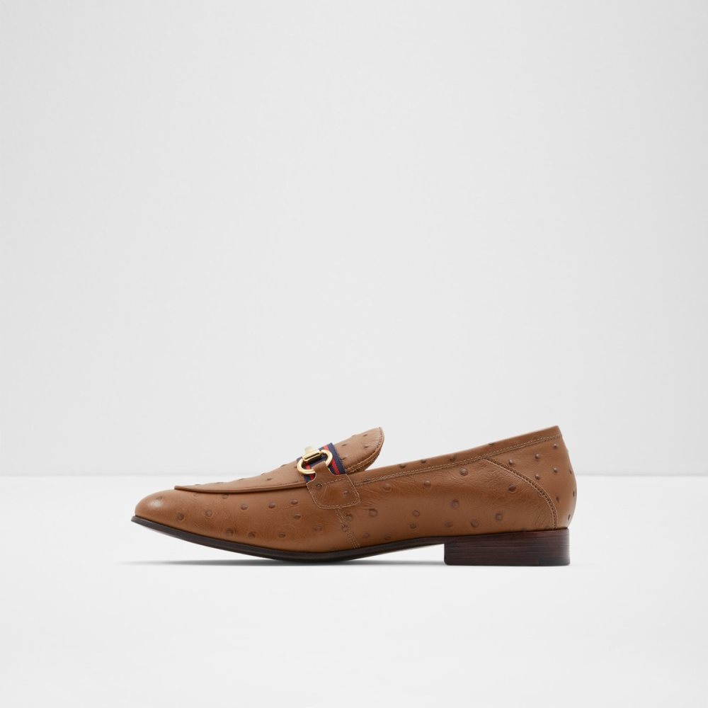 Loafers Aldo Trywen Marron | FTXGHJ-150