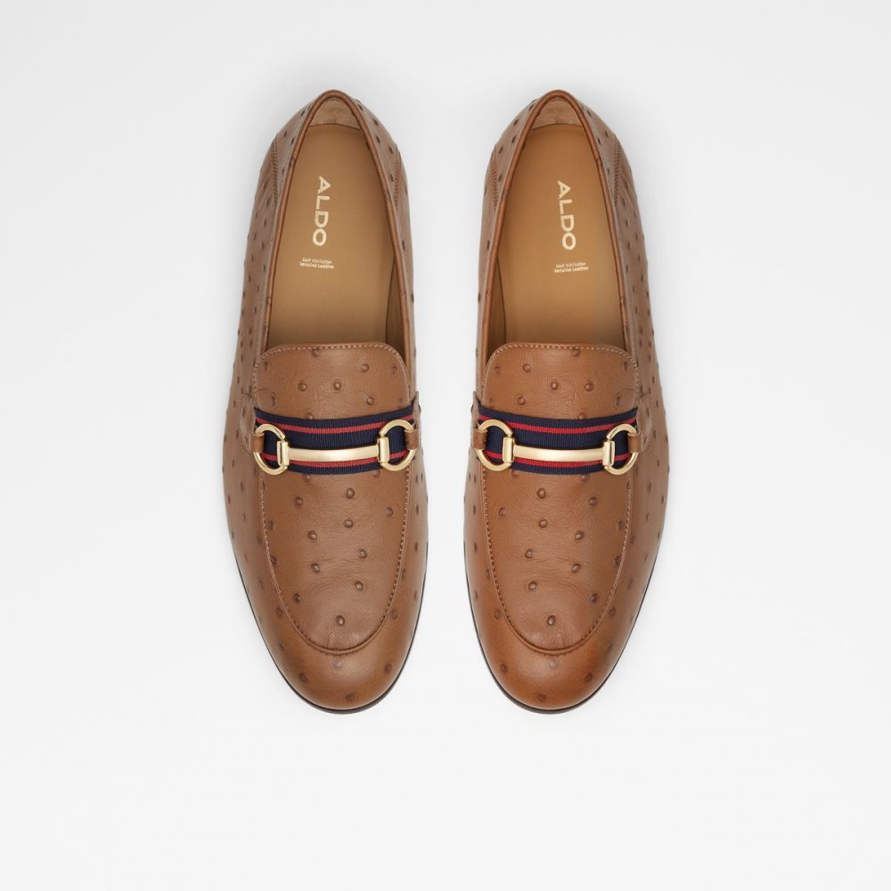 Loafers Aldo Trywen Marron | FTXGHJ-150