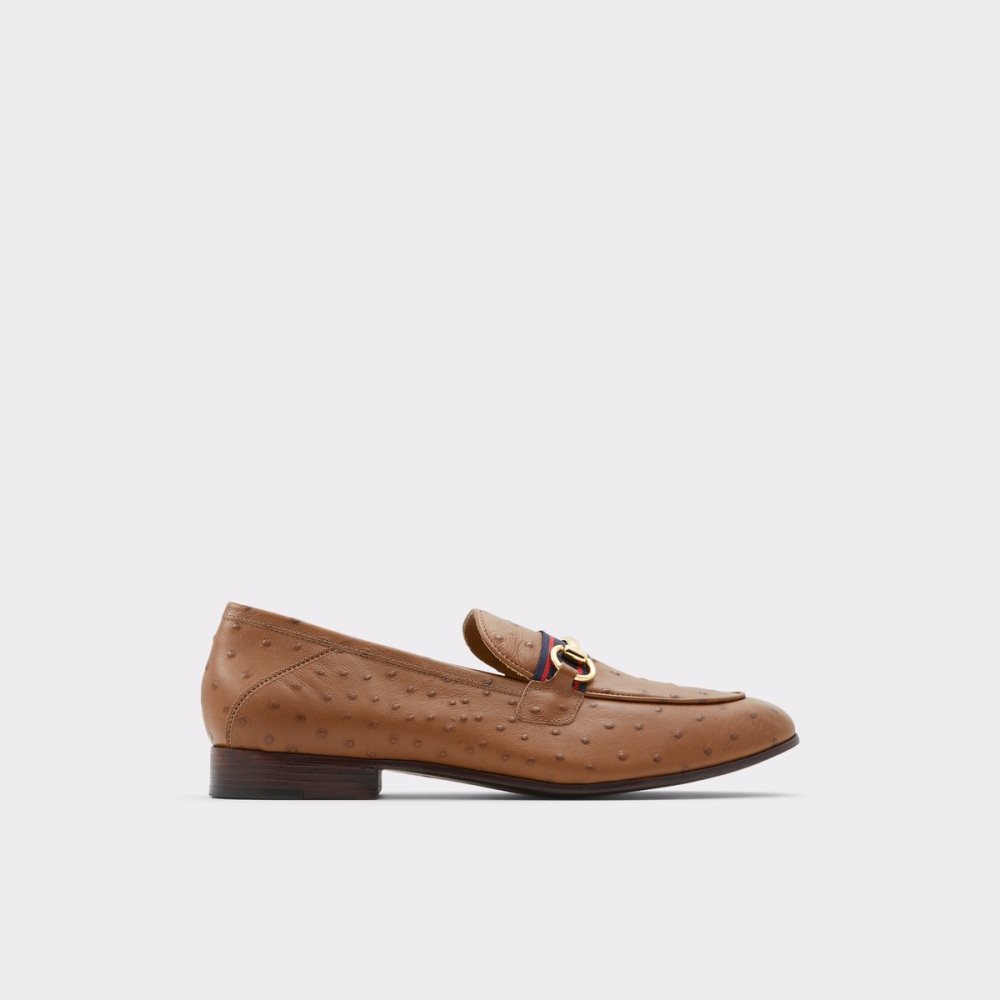 Loafers Aldo Trywen Marron | FTXGHJ-150