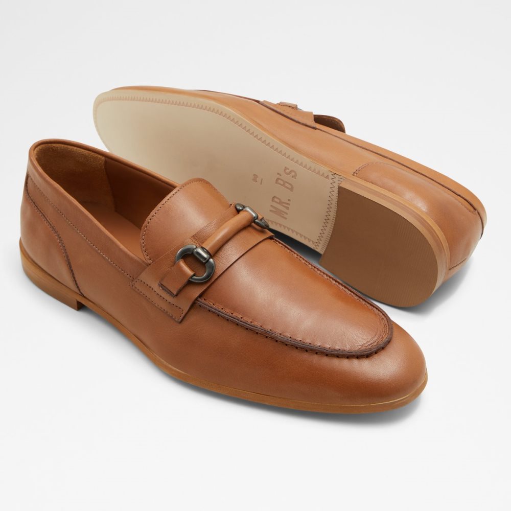 Loafers Aldo Violettes Marron | UFCGXJ-823