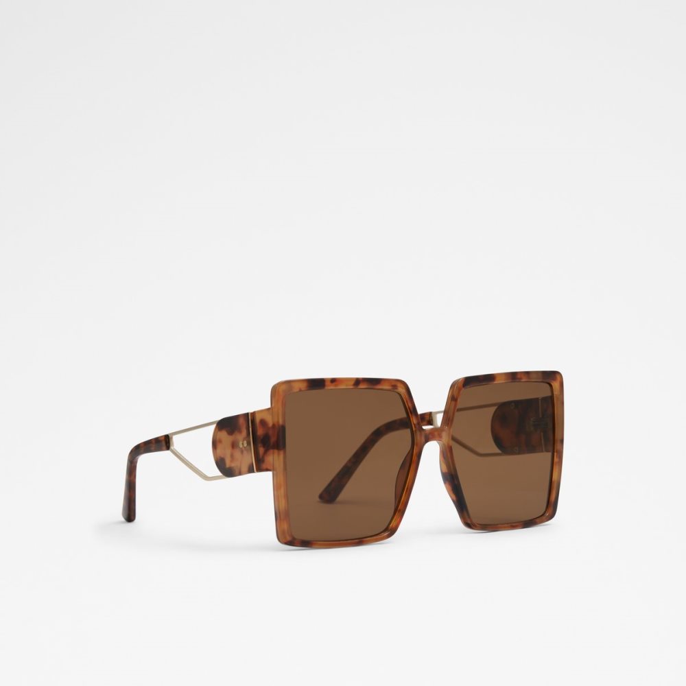 Lunettes de Soleil Aldo Annerelia Marron | NXTVCF-651