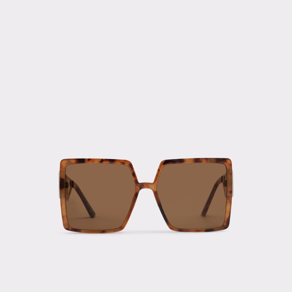 Lunettes de Soleil Aldo Annerelia Marron | NXTVCF-651