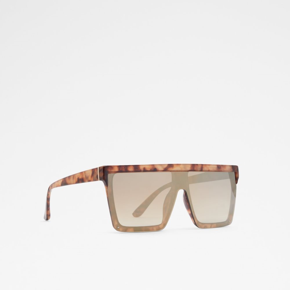 Lunettes de Soleil Aldo Brightside Shield Marron | KMHAGP-349