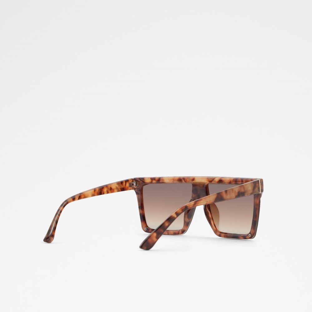 Lunettes de Soleil Aldo Brightside Shield Marron | KMHAGP-349