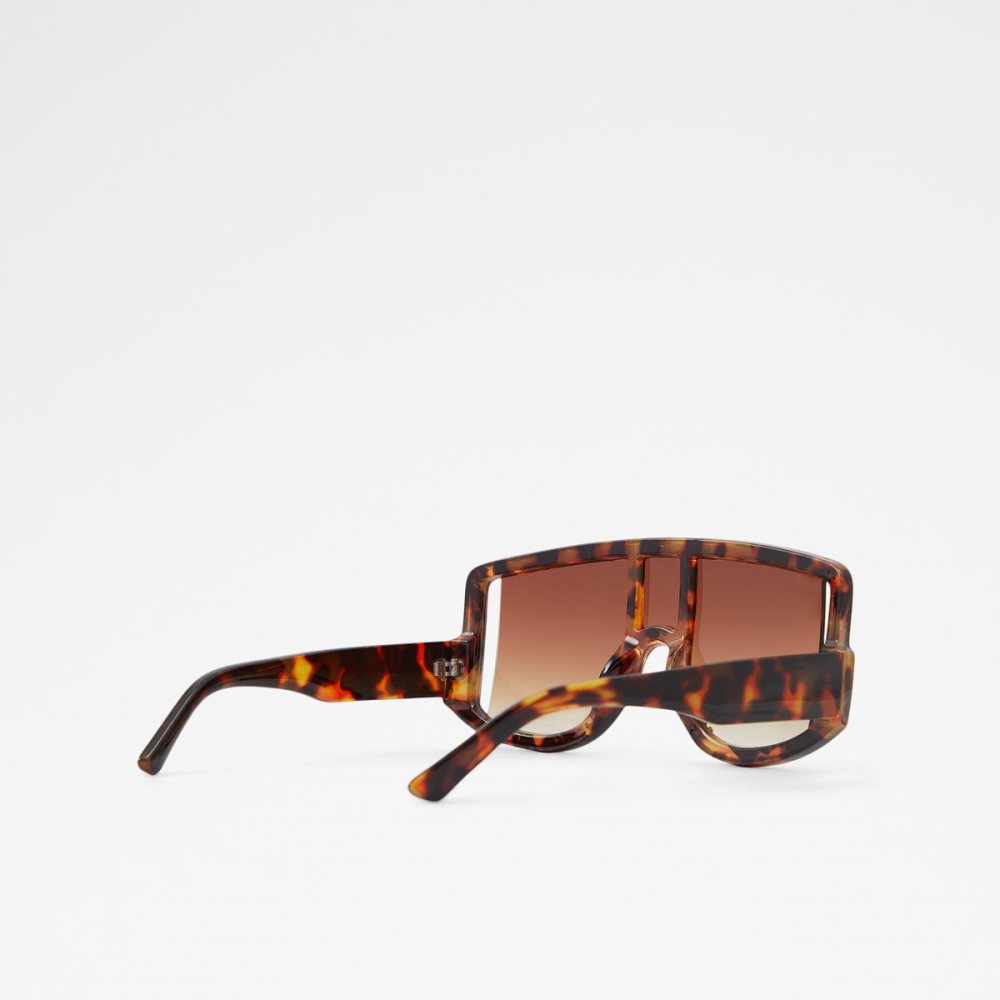 Lunettes de Soleil Aldo Javabriclya Shield Marron | PVRWOC-506