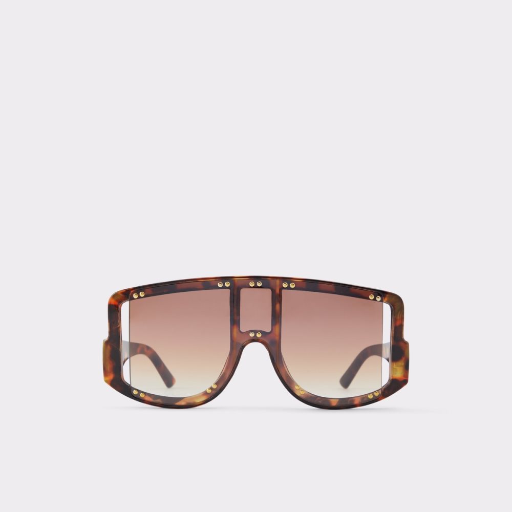 Lunettes de Soleil Aldo Javabriclya Shield Marron | PVRWOC-506