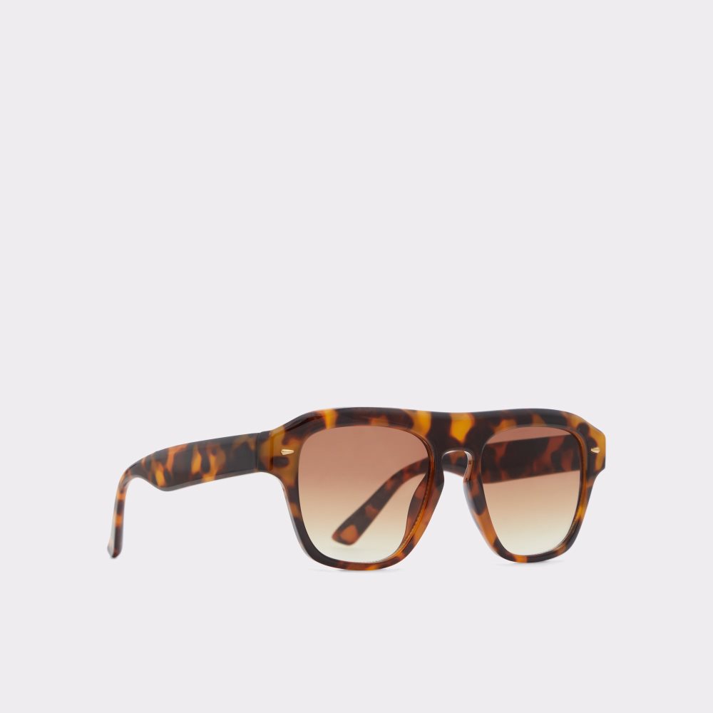 Lunettes de Soleil Aldo Milicien Marron | VPRCKI-734