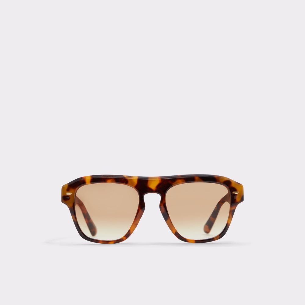 Lunettes de Soleil Aldo Milicien Marron | VPRCKI-734