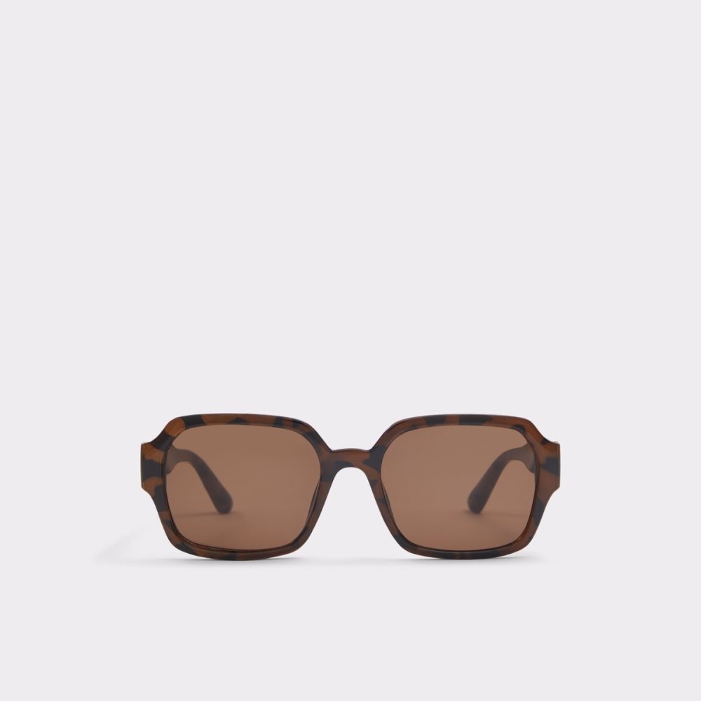 Lunettes de Soleil Aldo Quoll Marron | JPMDWQ-204