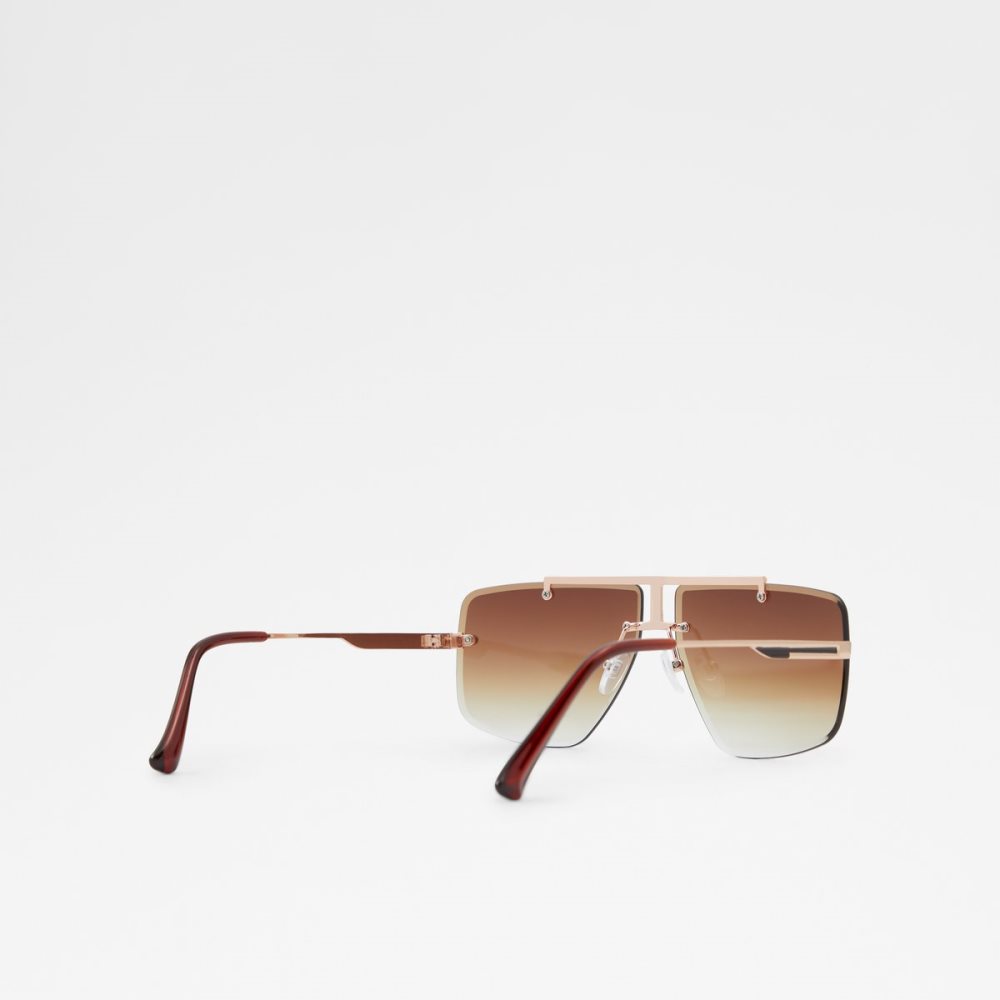 Lunettes de Soleil Aldo Silikatu Marron | ZMVXCS-925