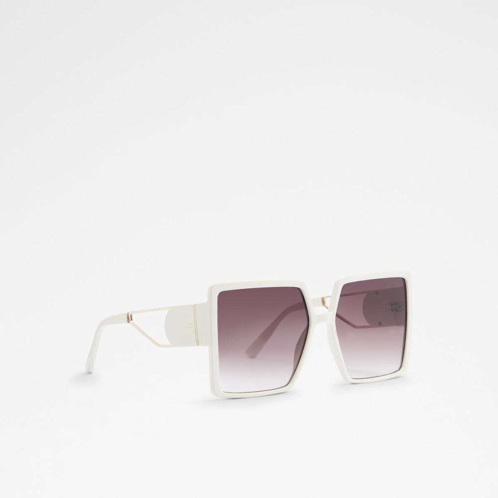 Lunettes de Soleil Aldo Ybaledia Square Multicolore | VZKUDL-170