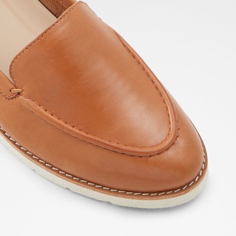 Mules Aldo Rheildanflex Marron | HZPDUT-702