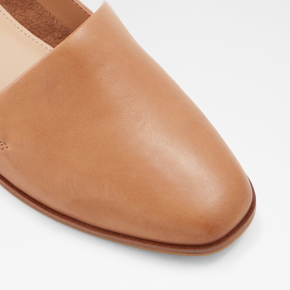 Mules Aldo Veadith Slip-on Marron | ZCYRTD-568