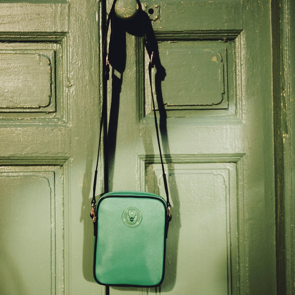 Sacs Crossbody Aldo Ginobaro Vert | MCXNPF-256