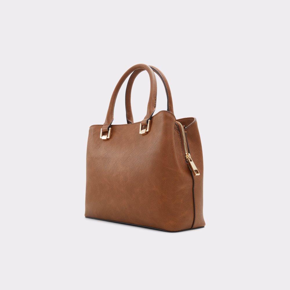 Sacs Fourre Tout Aldo Legoirii Marron | VELPKJ-467