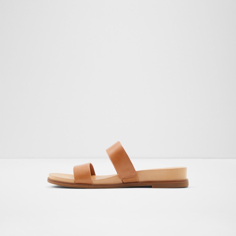 Sandales Aldo Aliawen Claquette Sandal Marron | GXFPJA-439