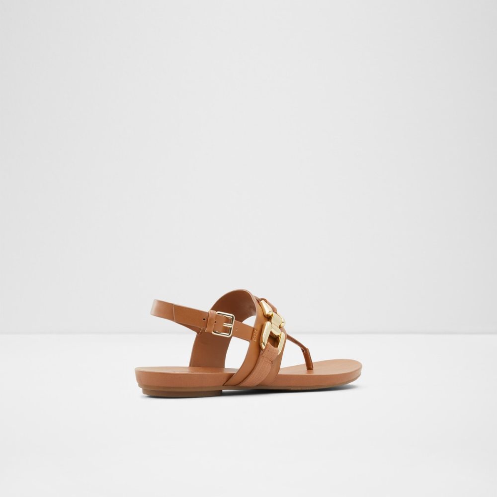 Sandales Aldo Gannamaryn T-strap Sandal Marron | ACDPUR-957